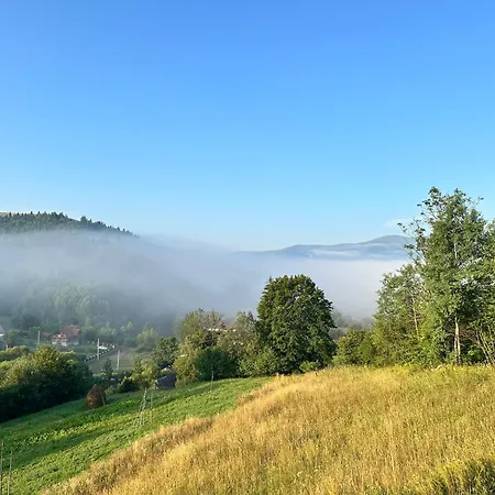 Borzhava View * Nizhniy Studenyy