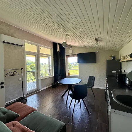 Borzhava View Apartament