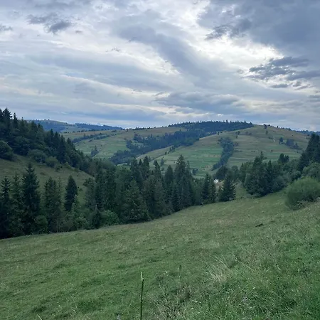 Borzhava View Apartament Nizhniy Studenyy