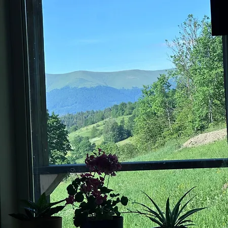 Borzhava View Apartament