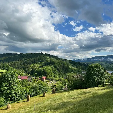 Apartament Borzhava View Nizhniy Studenyy