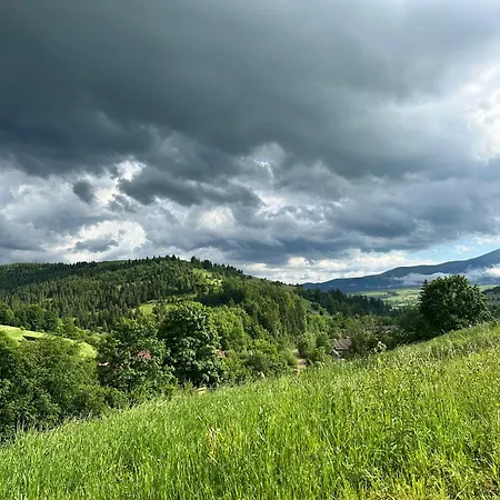 Borzhava View